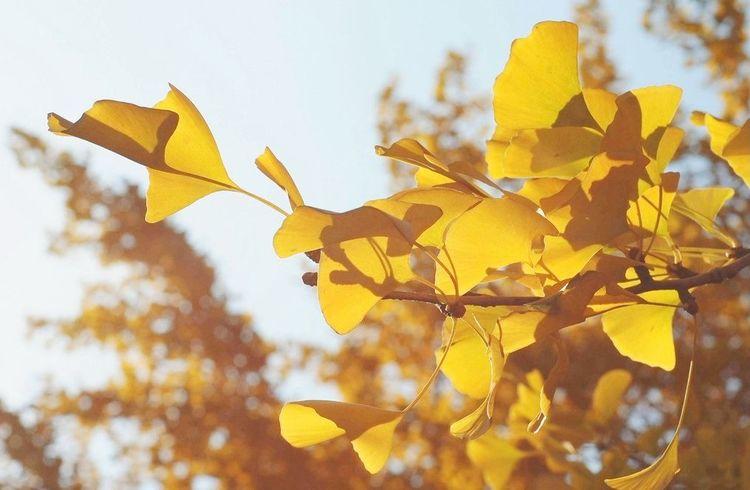 微信图片_2020121417381910 微信图片_2020121417381910.jpg