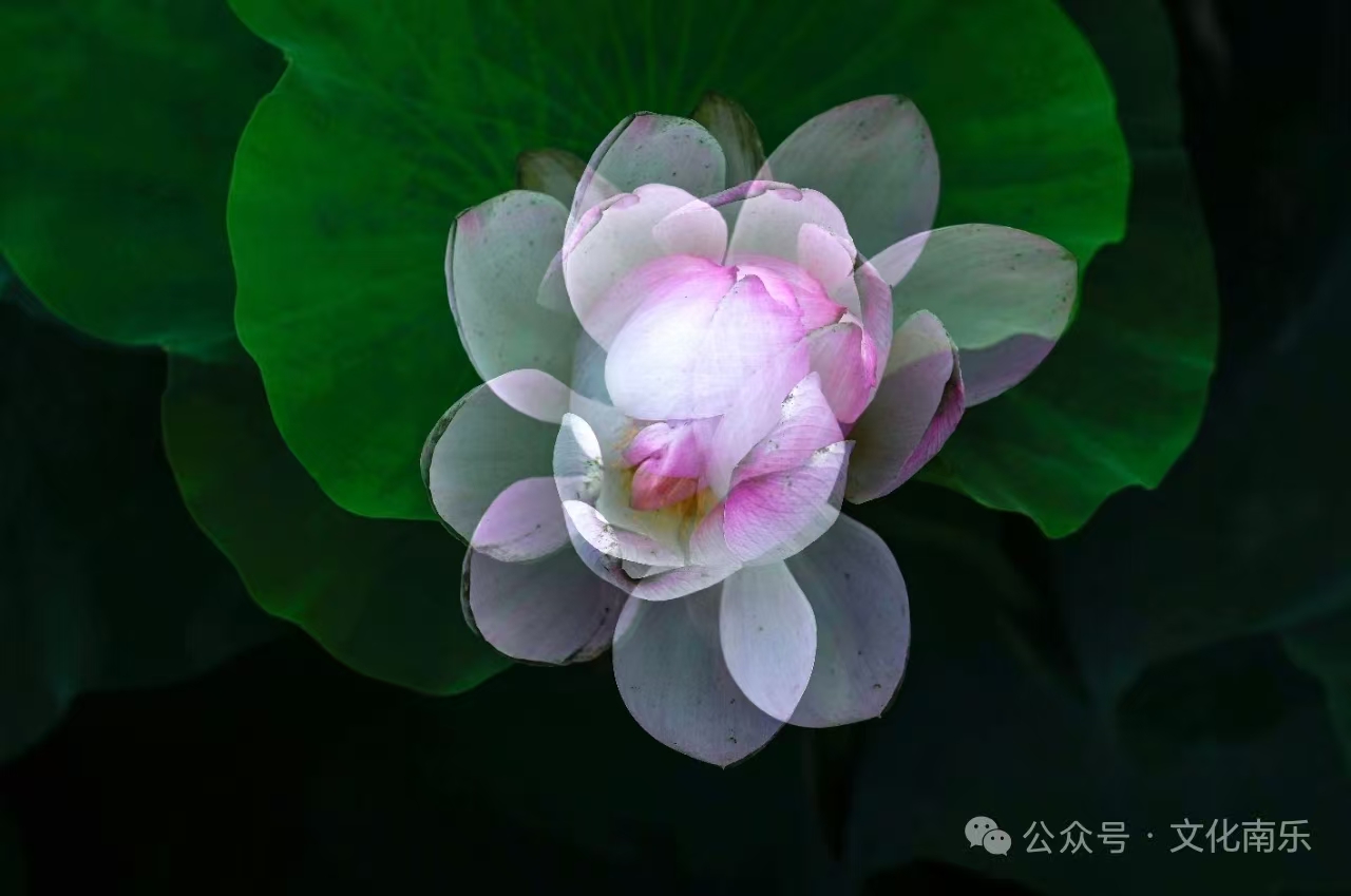 微信图片_20260507093655_147_132jpg