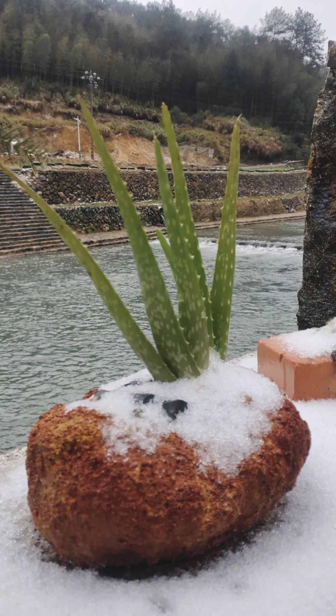 微信图片_20220225091947 微信图片_20220225091947.jpg