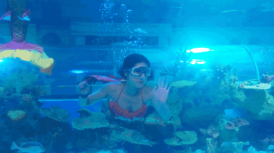 微信图片_20210930103719 微信图片_20210930103719.gif