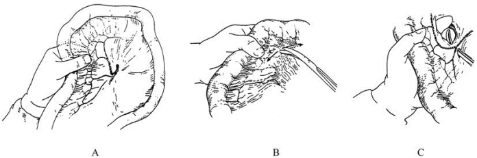 pagenumber_ebook=99,pagenumber_book=84