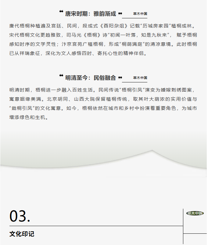 image.png?v=1766278521081