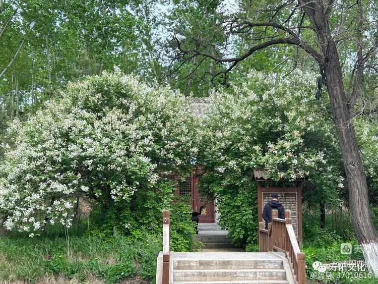 486a33bdaf1175618eb75edcdc925329_640_wx_fmt=jpeg&wxfrom=5&wx_lazy=1&wx_co=1 486a33bdaf1175618eb75edcdc925329_640_wx_fmt=jpeg&wxfrom=5&wx_lazy=1&wx_co=1.jpg