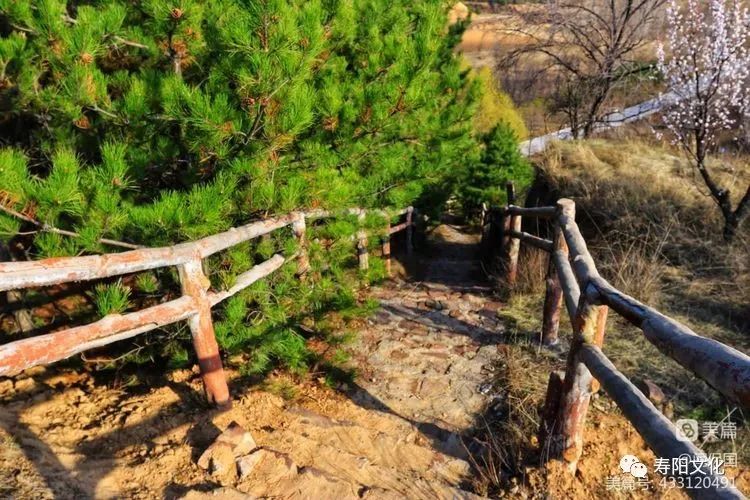 微信图片_20230414095953