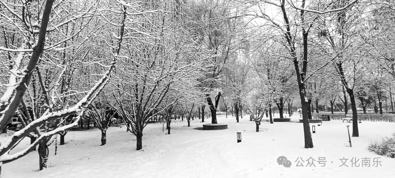 微信图片_20250206153539 微信图片_20250206153539.jpg