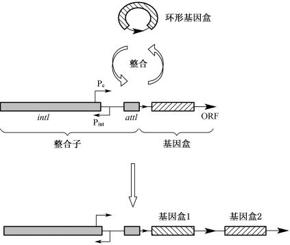 width=368,height=311,dpi=110