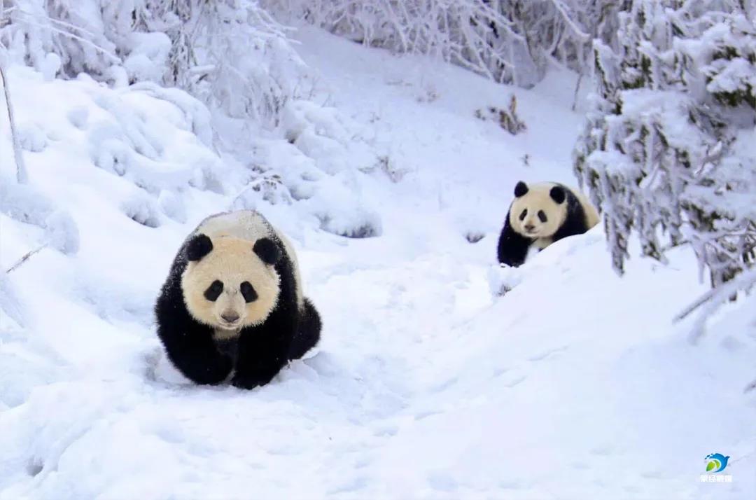 微信图片_20201204144524 微信图片_20201204144524.jpg