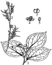 pagenumber_ebook=137,pagenumber_book=137