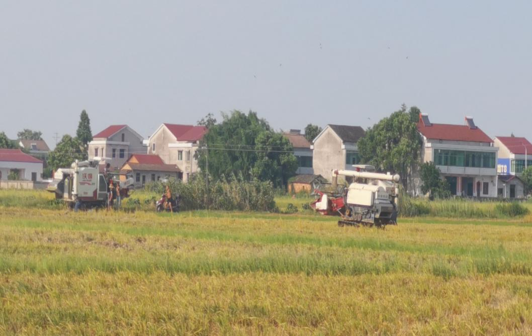 2 2.png?v=1765880298642