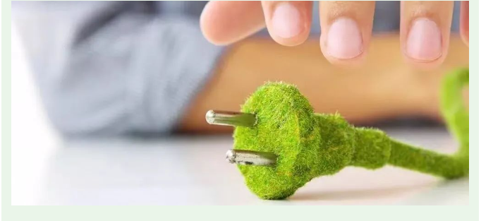 image image.png?v=1763569561592