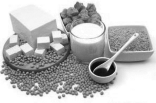 pagenumber_ebook=12,pagenumber_book=12