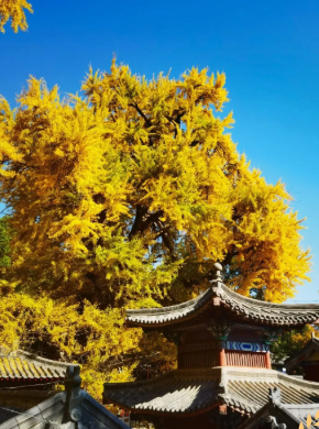 cd9df8f7b6e259559057e67adbd7d22b cd9df8f7b6e259559057e67adbd7d22b