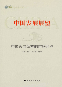 中国发展展望 中国迈向怎样的市场经济