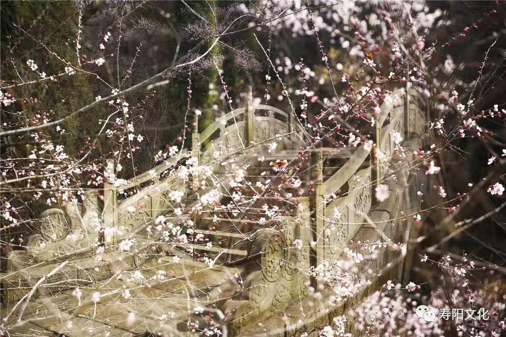 02347df78b8f84be8bcca20cf2afb2e