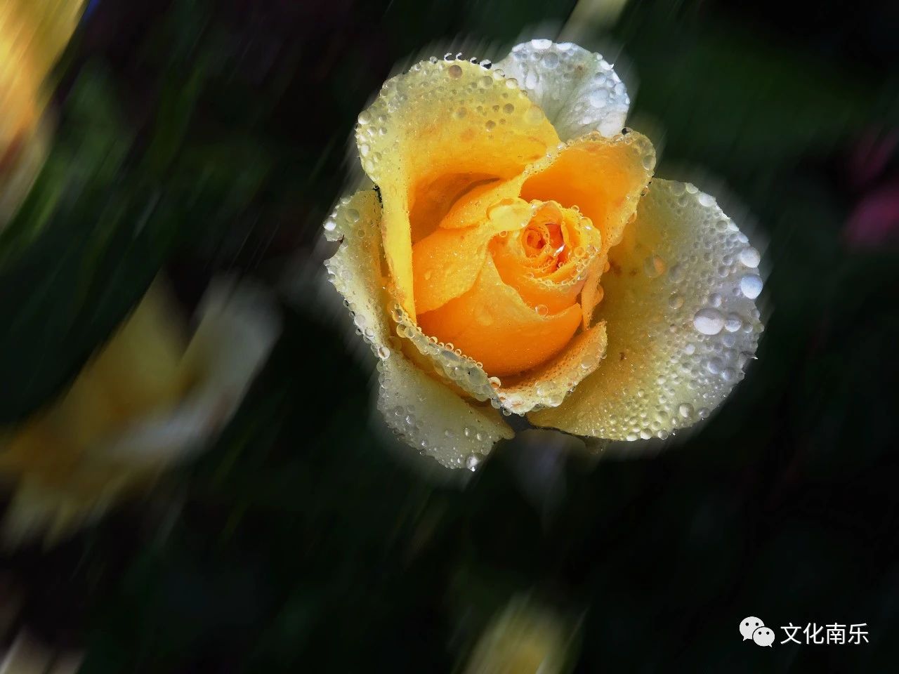 641509ebba7374d1334f5ac48426446b 641509ebba7374d1334f5ac48426446b.jpg