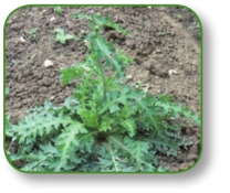 pagenumber_ebook=160,pagenumber_book=147