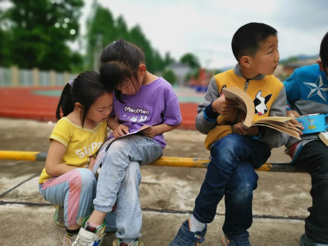 0 (17) 0 (17).jpg?v=1761999163920