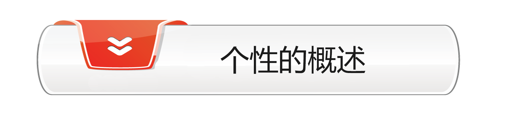 个性概述.png
