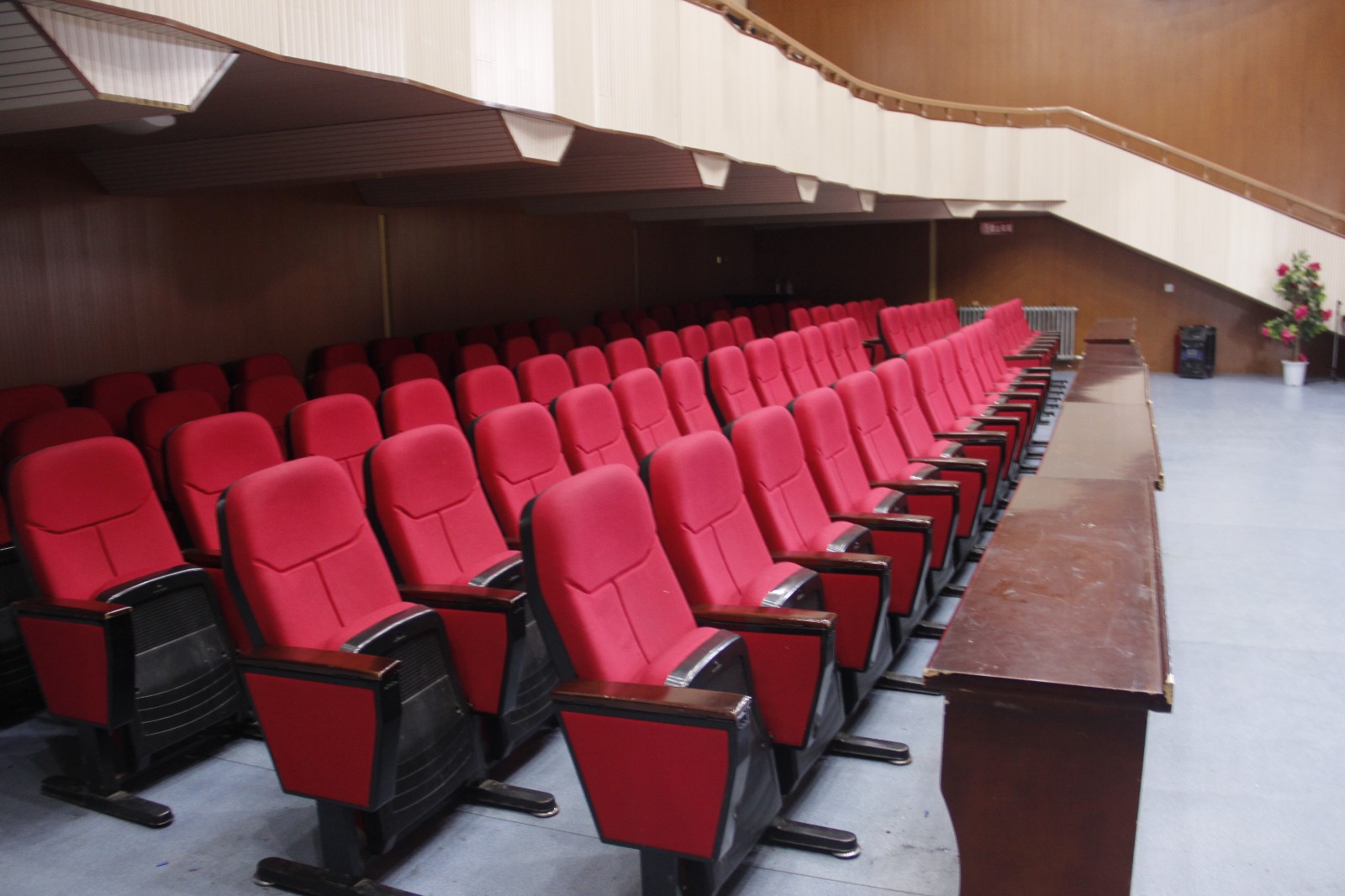 拍摄人:宋哲吉 拍摄时间:2018.04 (13)