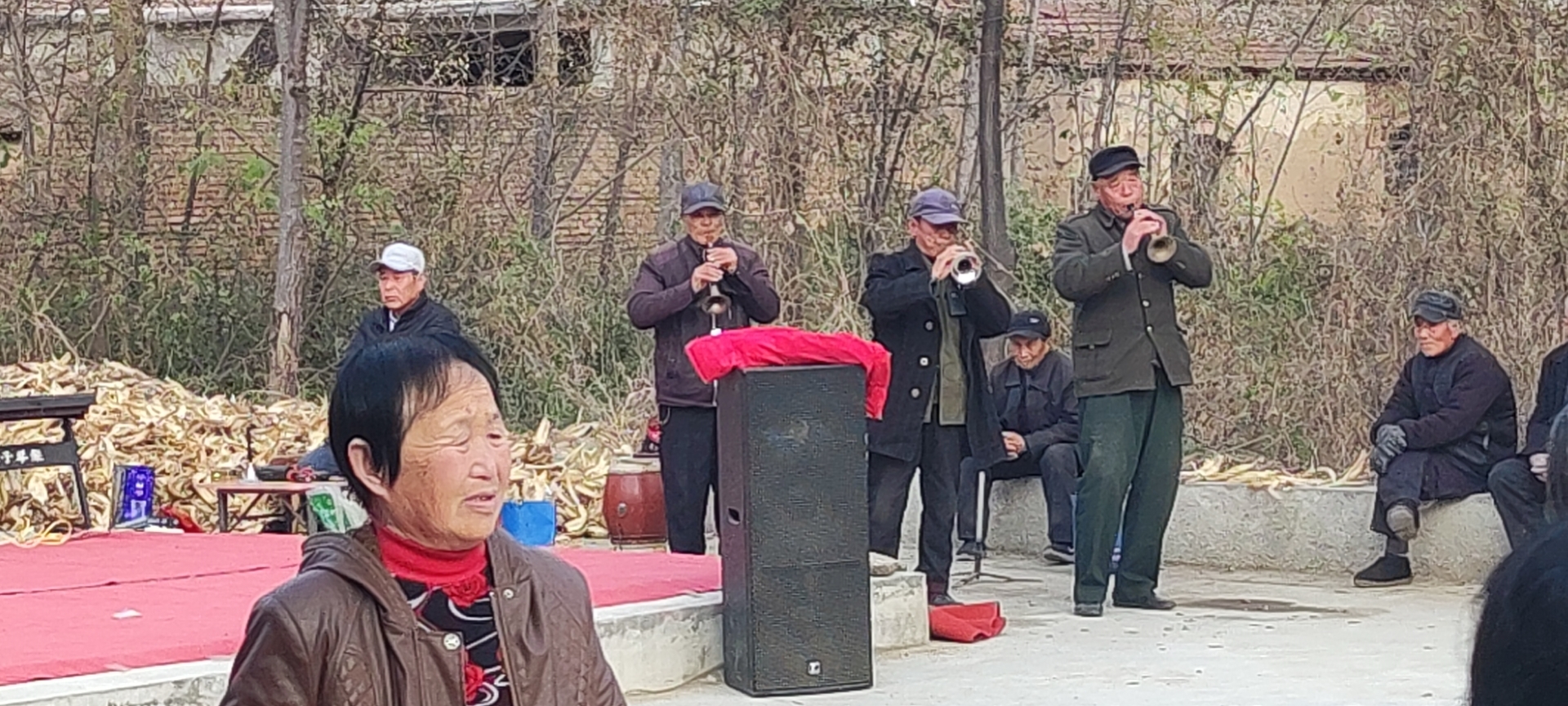 微信图片_20241025104759.jpg