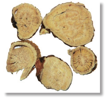 pagenumber_ebook=50,pagenumber_book=37