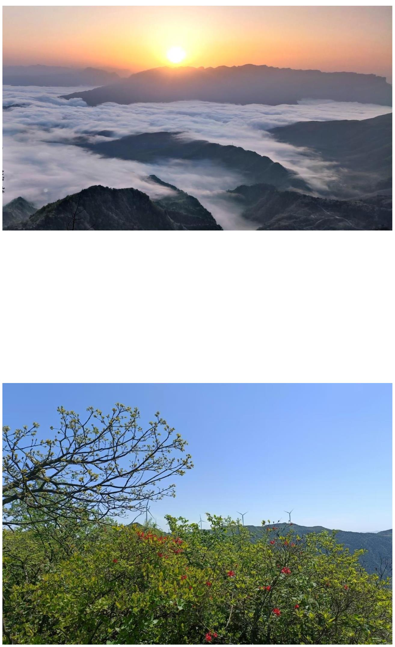 图片 6 图片 6.png