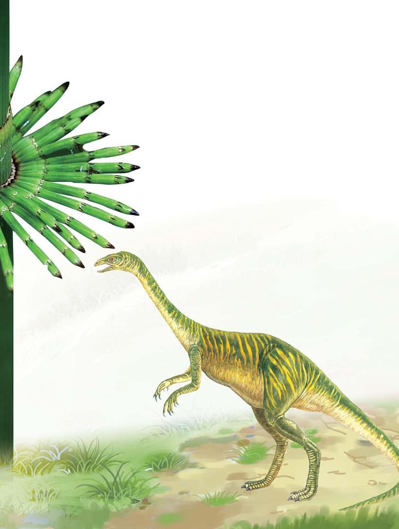 pagenumber_ebook=80,pagenumber_book=69