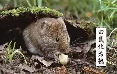 image013 image013.png?v=1764640555543