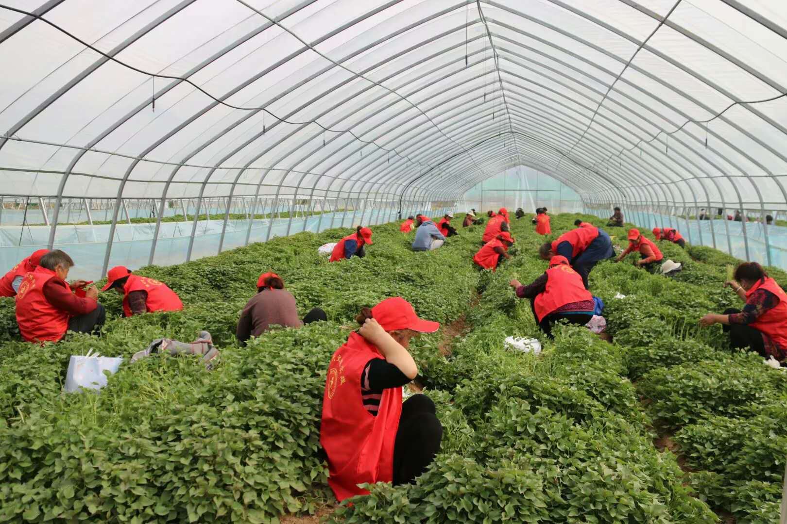 微信图片_20201209101716