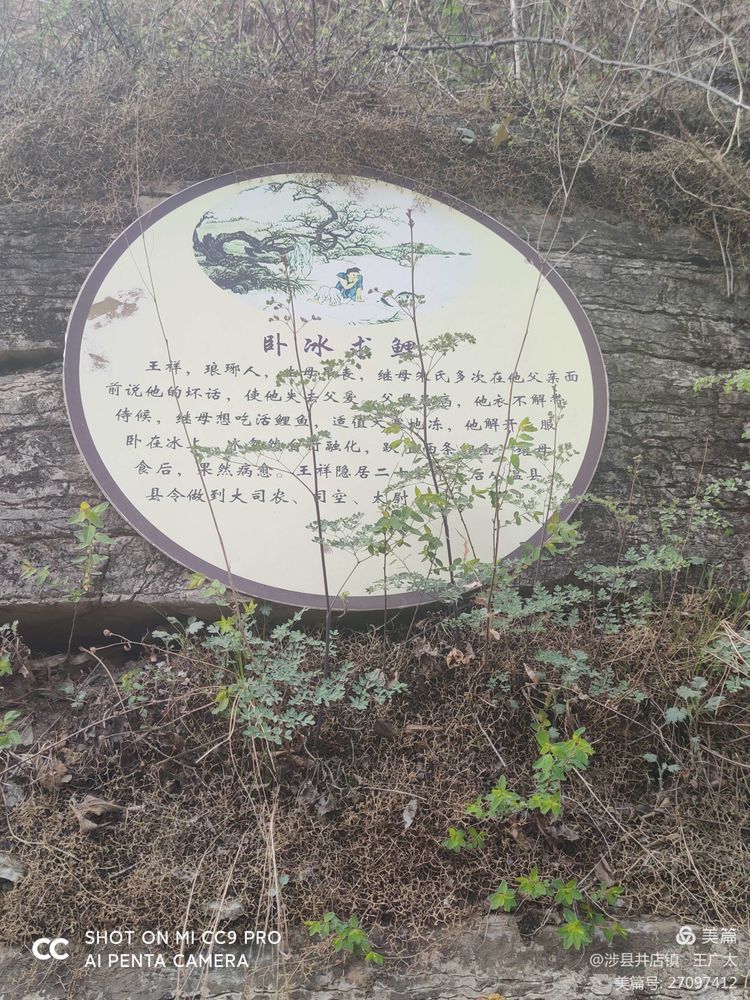 微信图片_20210420104651 - 副本