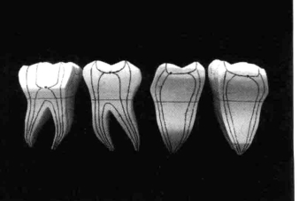 pagenumber_ebook=215,pagenumber_book=206