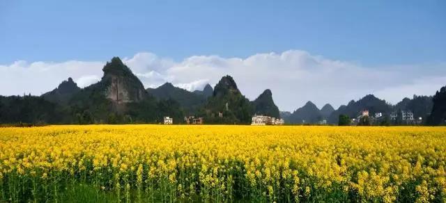 微信图片_20200712002515 微信图片_20200712002515.jpg