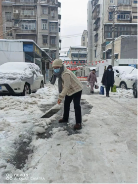 image image.png?v=1765113059948