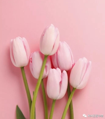 image image.png?v=1761900364409