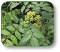 pagenumber_ebook=130,pagenumber_book=117