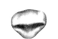 pagenumber_ebook=25,pagenumber_book=16