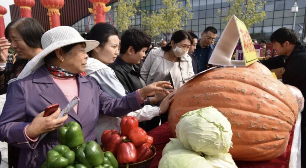 987eebd53b4671c046183c1378025c8 987eebd53b4671c046183c1378025c8