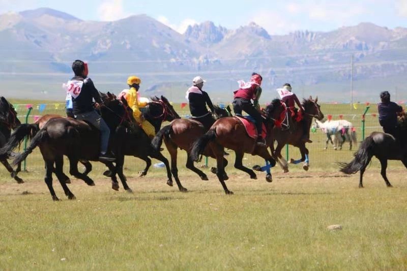 6 6.jpg?v=1765701187538