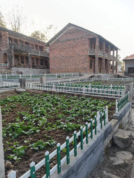 图片 25 图片 25.png