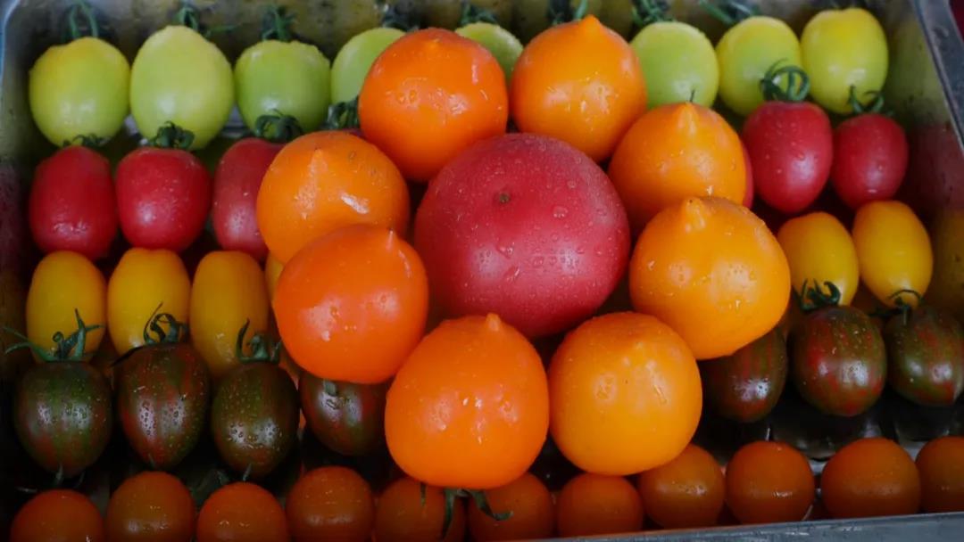 微信图片_20210910172531 微信图片_20210910172531.jpg