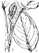 pagenumber_ebook=263,pagenumber_book=263