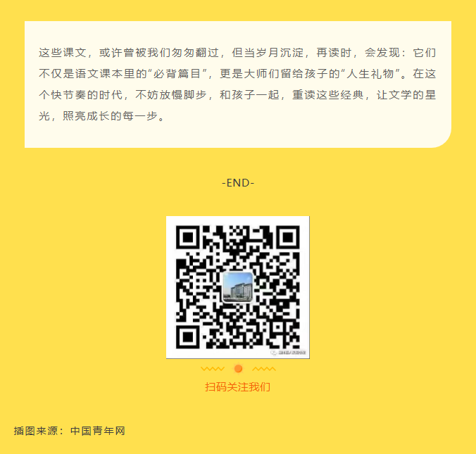 image.png?v=1757826447319