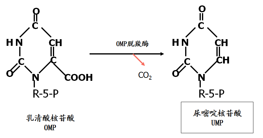 诺华brolucizumab获批在望 vegf抑制剂市场将再起波澜