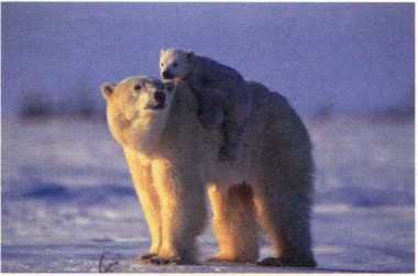 pagenumber_ebook=161,pagenumber_book=152