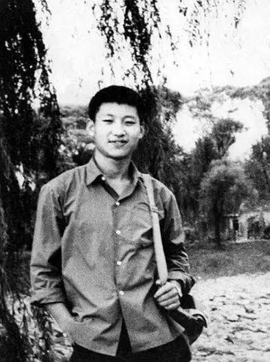 20170929131031_5jk4s0b1ke 20170929131031_5jk4s0b1ke.jpg?v=1764862408471