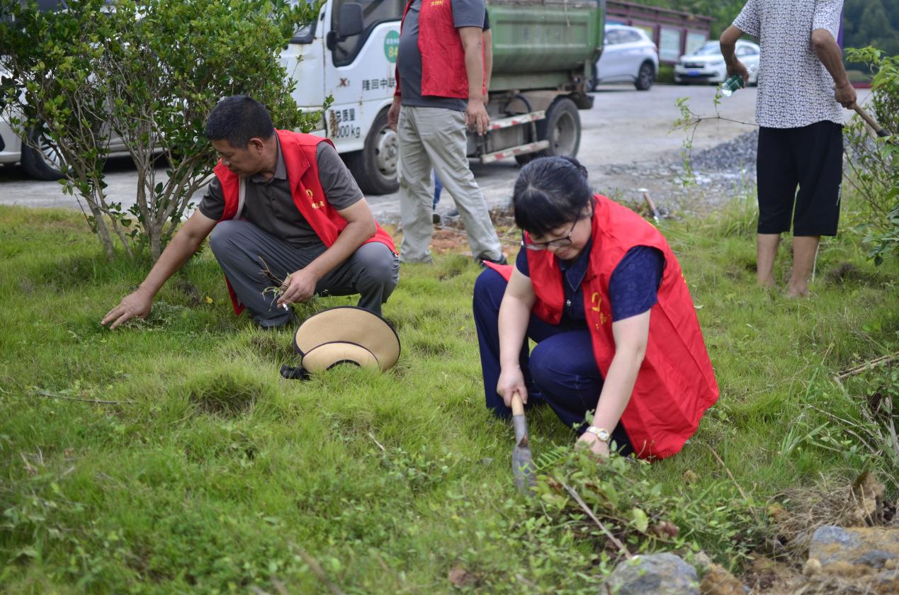 image35 image35.jpeg