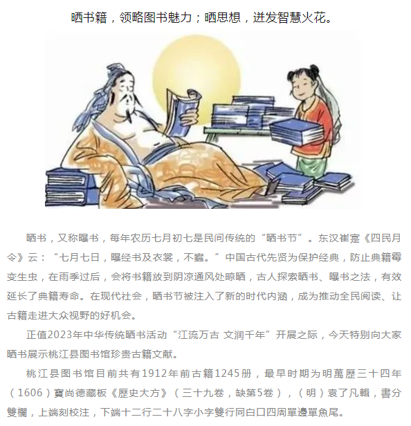 image.png?v=1754265900899