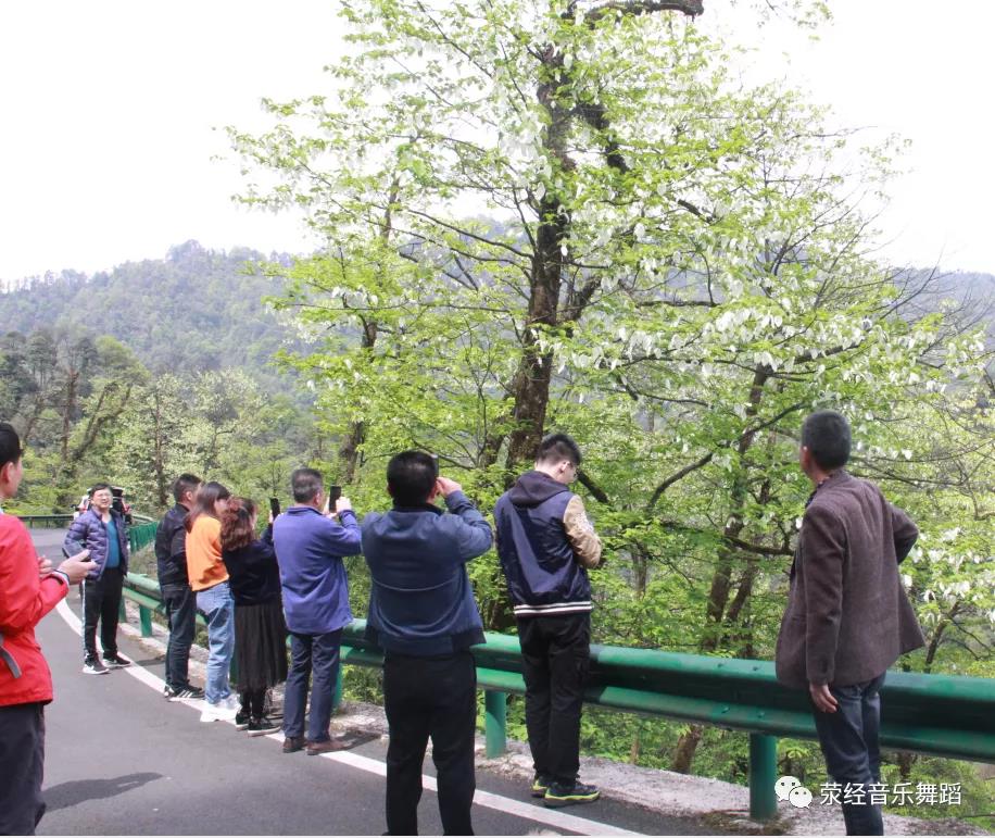 微信图片_20201225162133 微信图片_20201225162133.jpg