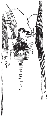 pagenumber_ebook=326,pagenumber_book=318