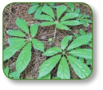 pagenumber_ebook=167,pagenumber_book=154